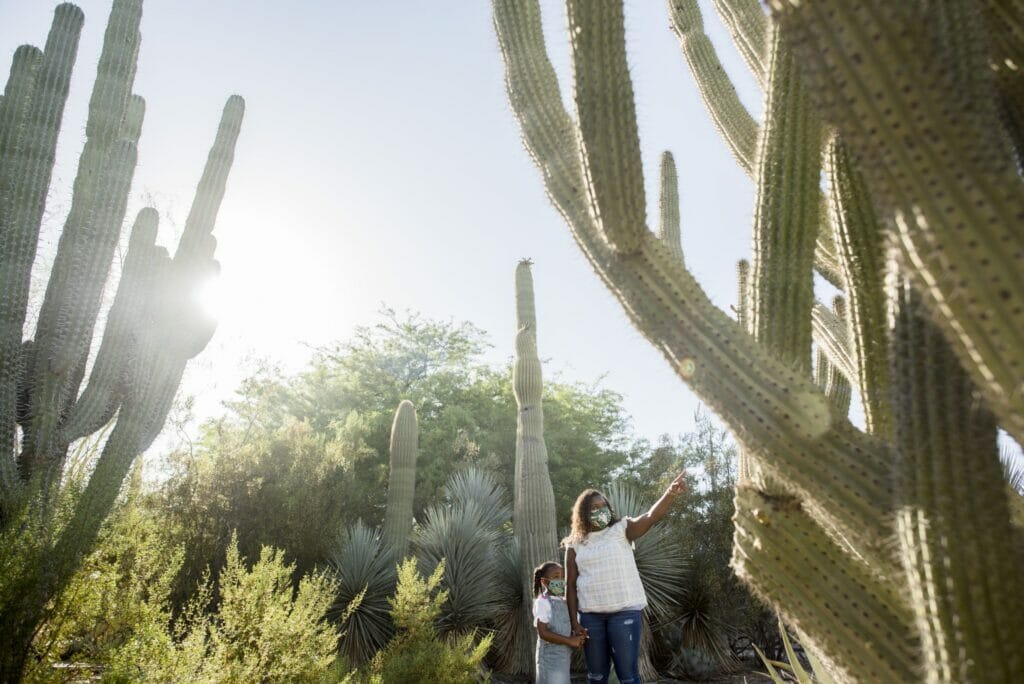 Things To Do This Labor Day In Tempe And Phoenix Tempe Tourism