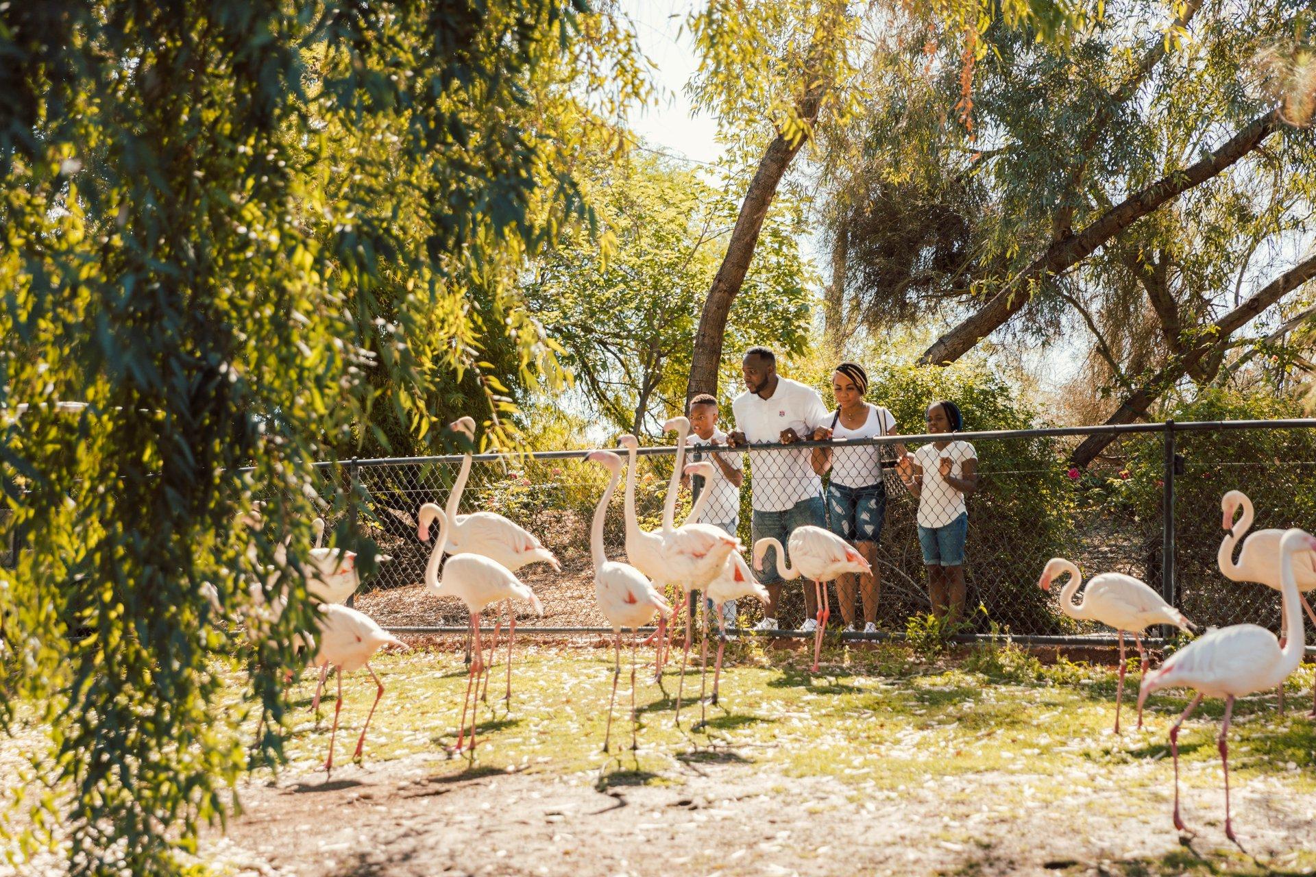 Family at Phoenix Zoo