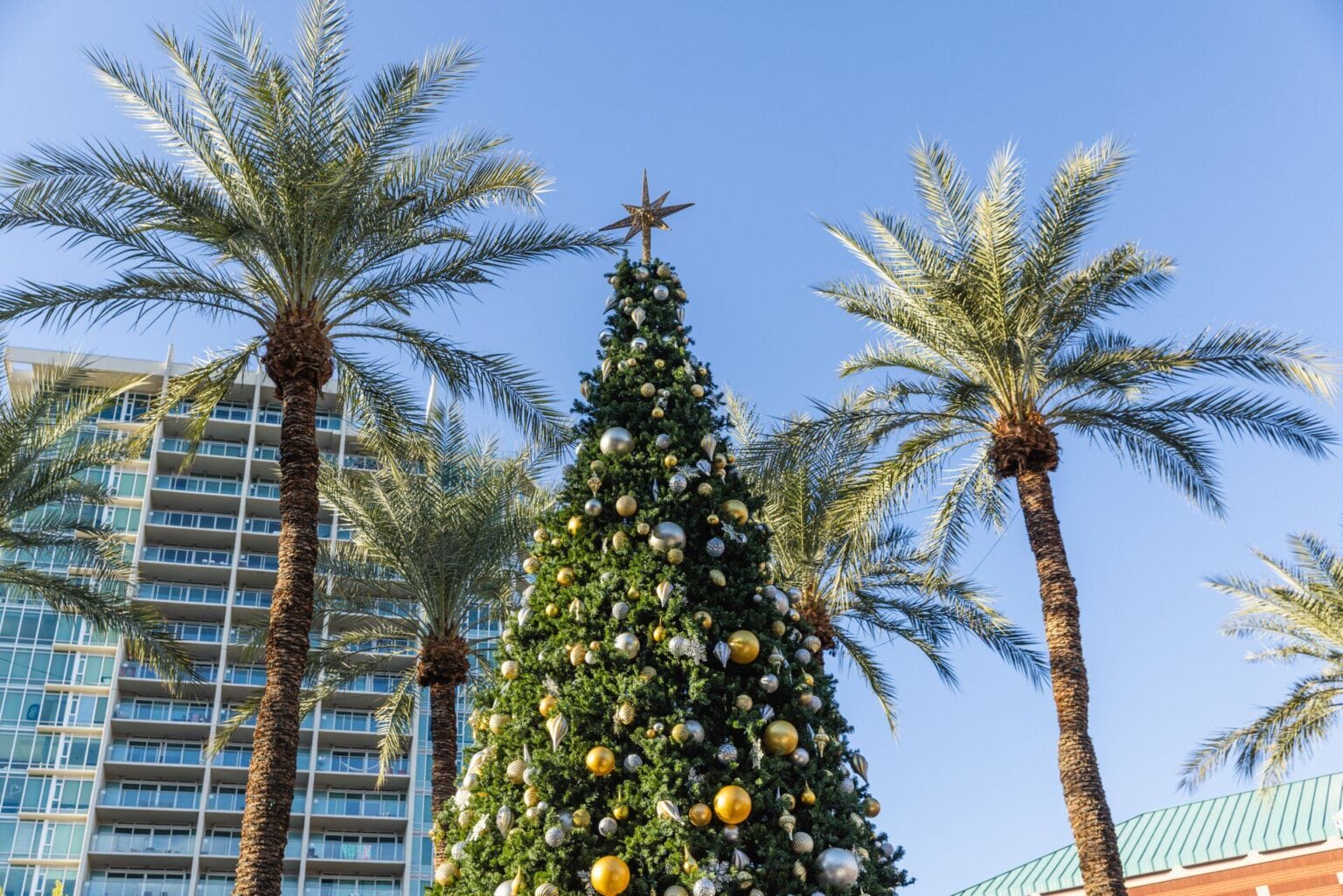 Holidays in Downtown Tempe