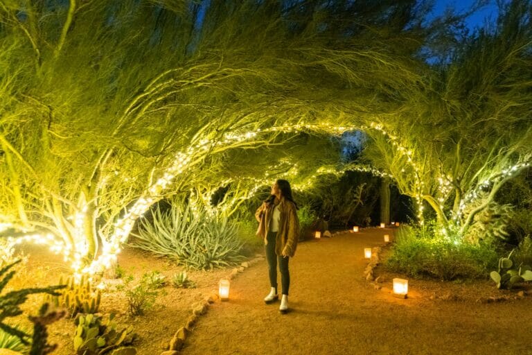 Las Noches de las Luminarias at Desert Botanical Garden Tempe Tourism