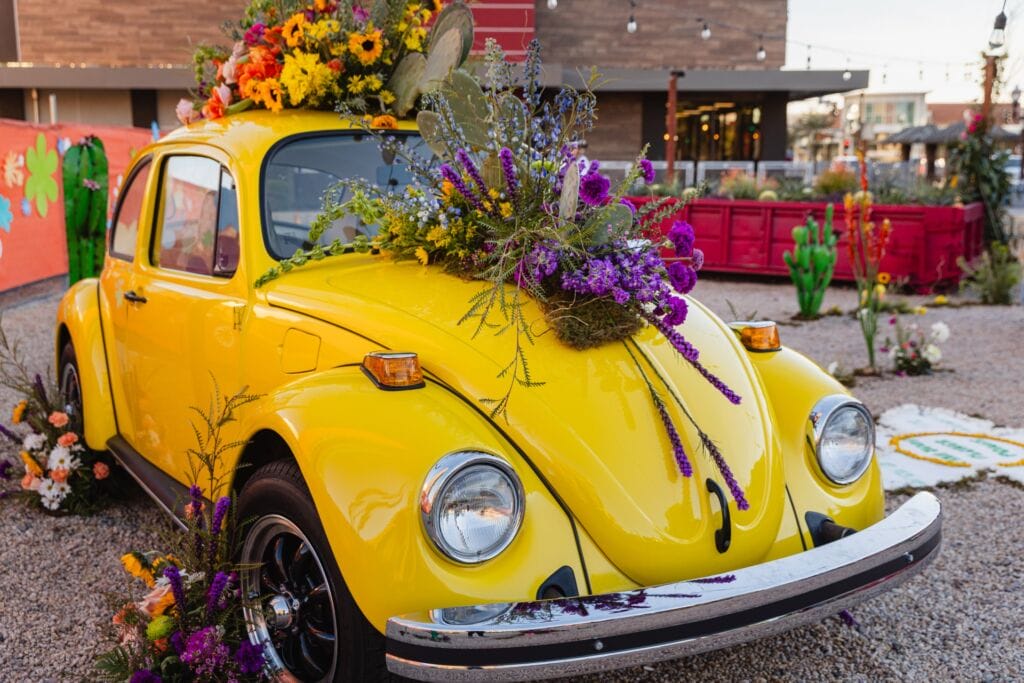 Tempe Blooms in Downtown Tempe