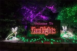 phoenix zoo lights