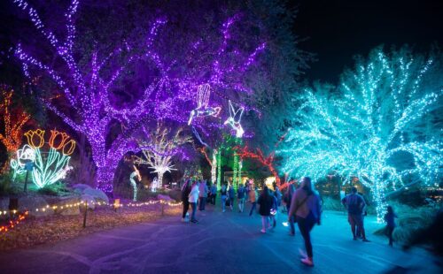 ZooLights at the Phoenix Zoo | Tempe Tourism