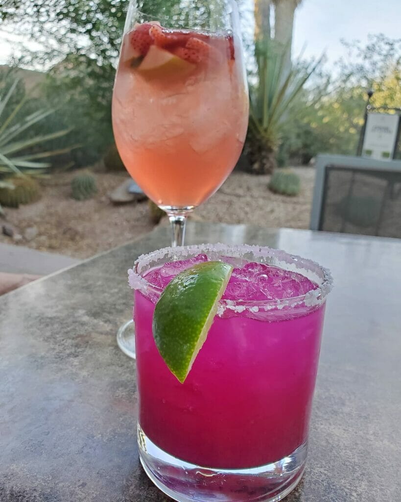 drinks at Desert Botanical Garden